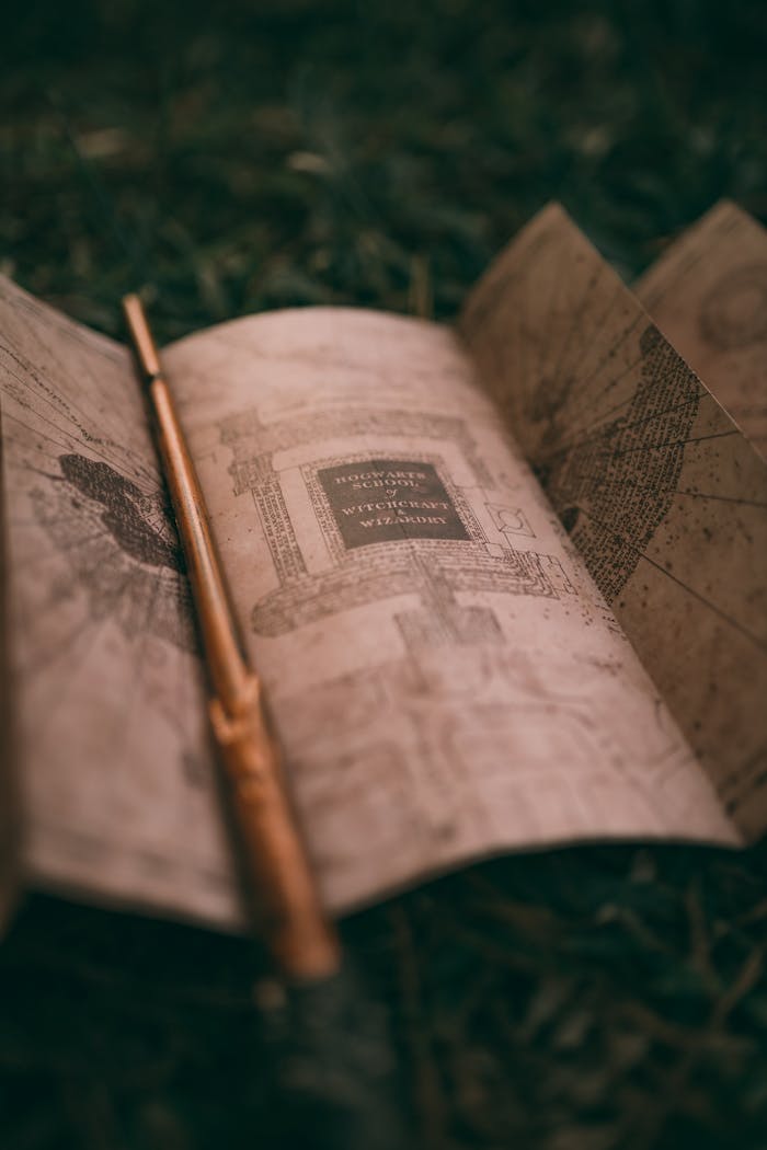 contact-bg Antique map and wand resting on grass, evoking mystery and adventure.